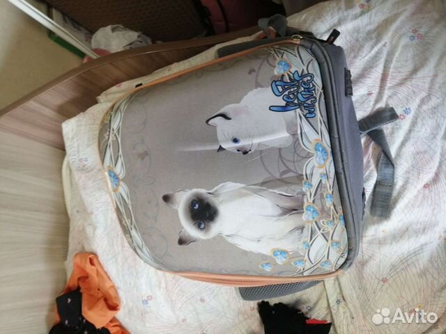 Ранец школьный для девочки с ортопедической спинко