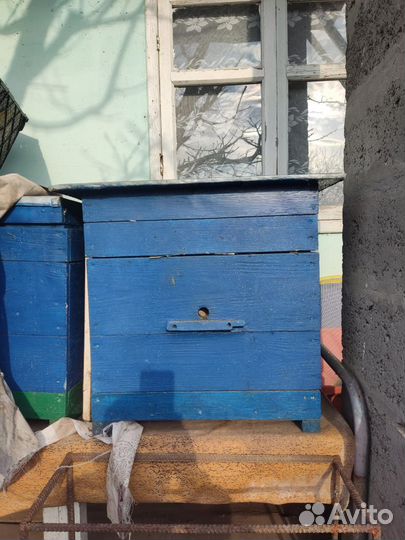 Продам ульи для пчел