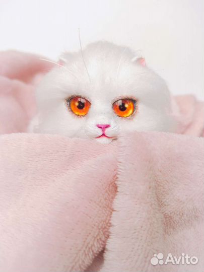 Котëнок 