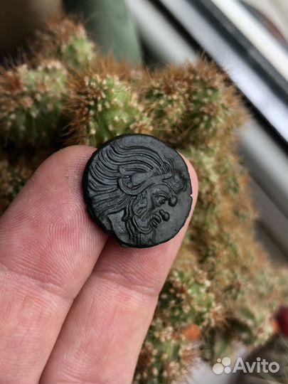 Тетрахалк Грифон