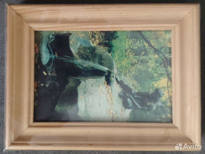 Багет сосна. Санкт-Петербург. Вид города