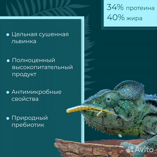 Личинка чёрной львинки сушеная 20 мм, 70гр Yumster