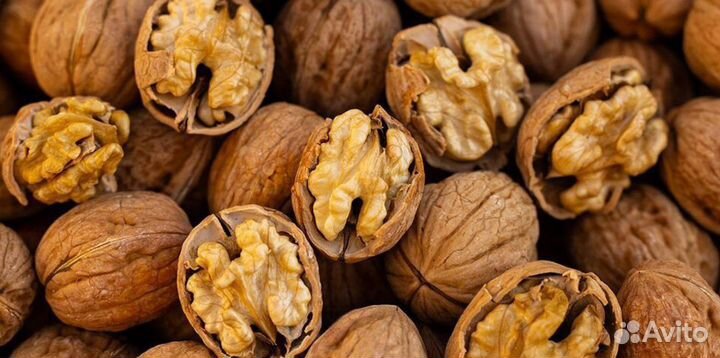 Продам грецкий орех