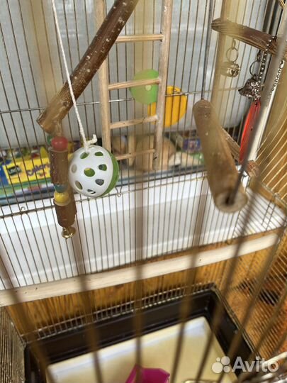 Клетка для попугая