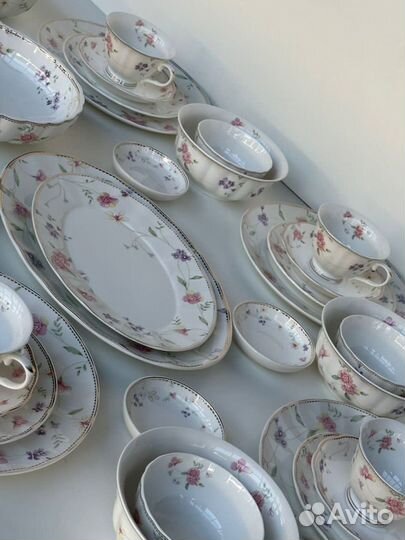 Сервиз Флориана (Вьюн) 6 перс. 45 предм.с розетк