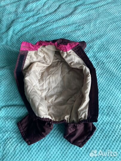 Одежда для собак