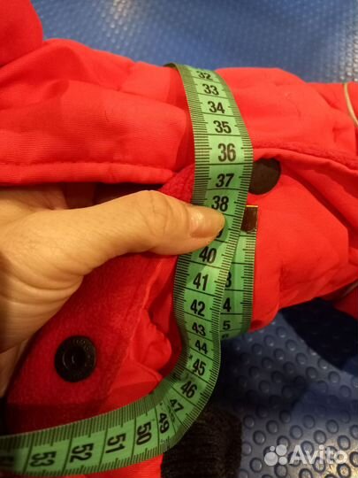 Одежда для маленьких собак йорк той чих