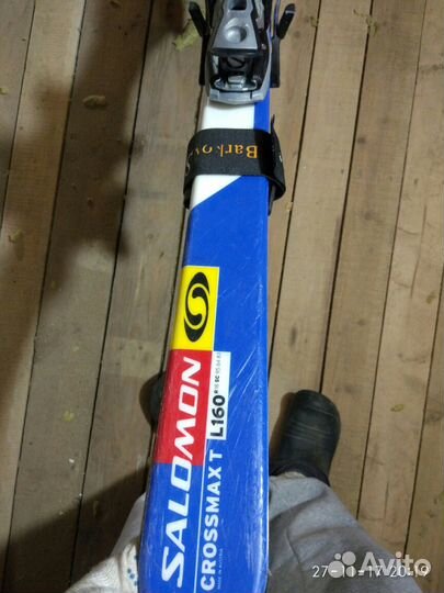 Горные лыжи