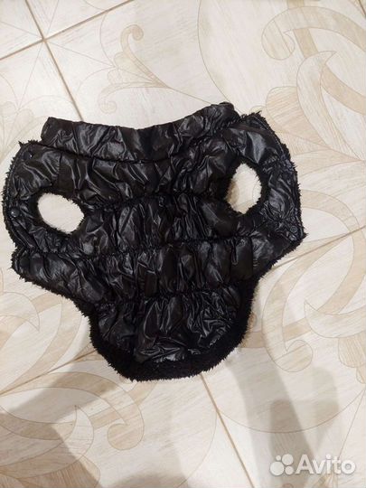 Вещи для mini собак