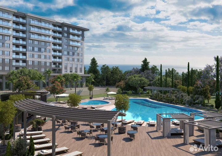 Ищу инвестора х3