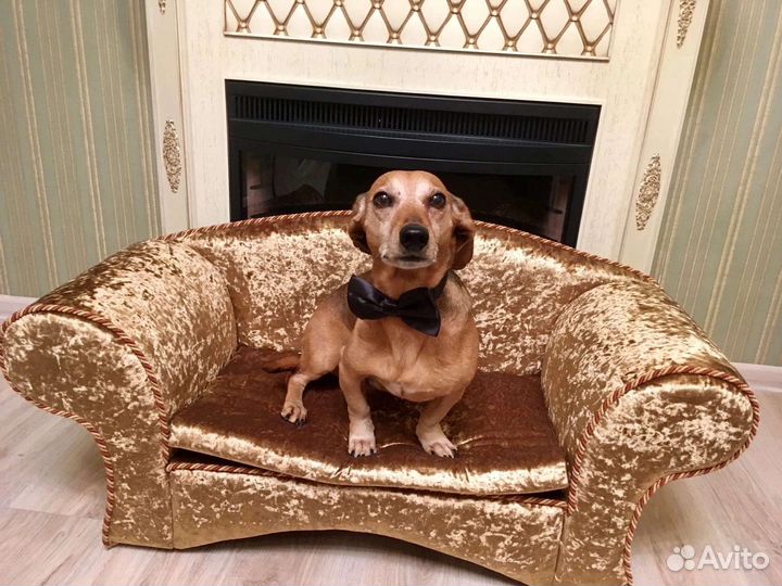 Диван для животных