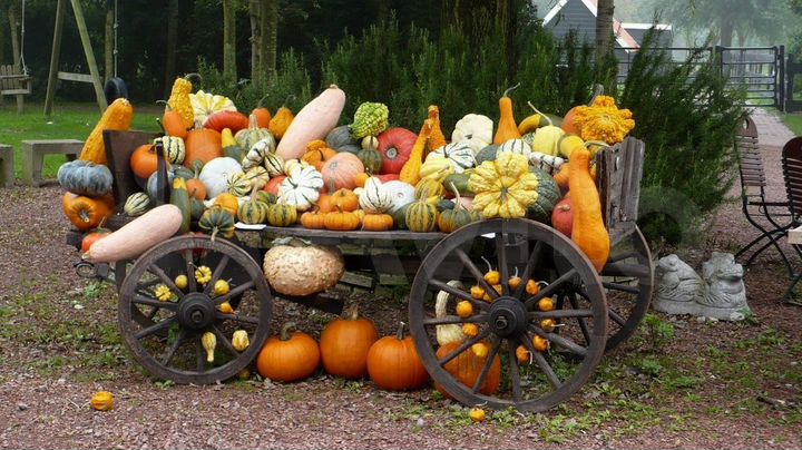 Дача 20 м² на участке 5,5 сот.