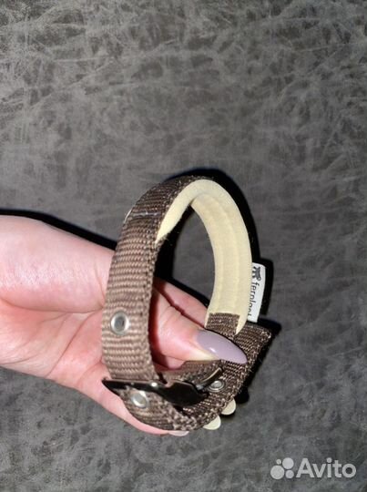 Собачий ошейник