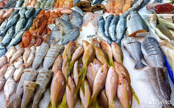 Готовый бизнес: рыбный магазин в центре