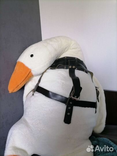 Шлейка для средней/крупной собаки 36мм до 115см