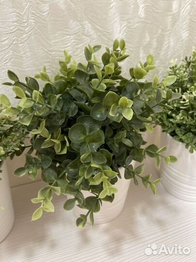 Растение IKEA фейка