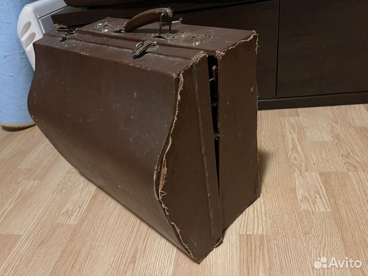 Баян алатырский