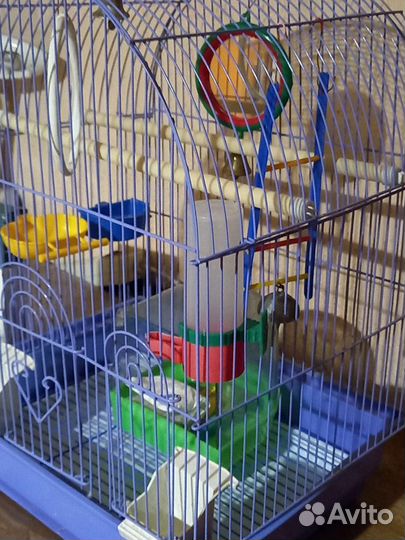 Клетка для волнистого попугая