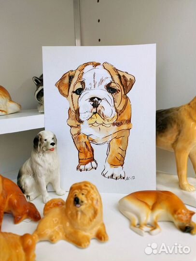 Портреты собак