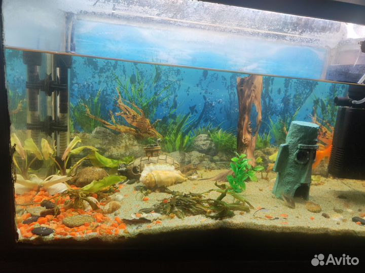 Аквариум