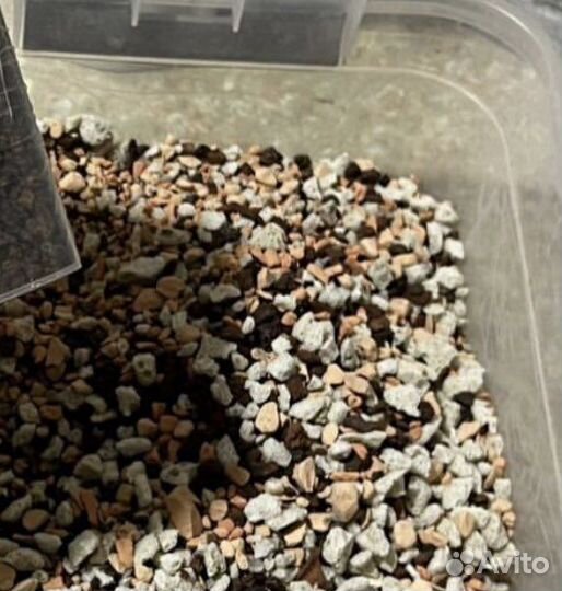 Комнатные цветы,Грунт для комнатных растений