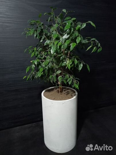 Горшки, Вазоны, Кашпо под заказ из бетона арт 138