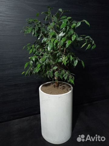 Горшки, Вазоны, Кашпо под заказ из бетона арт 138