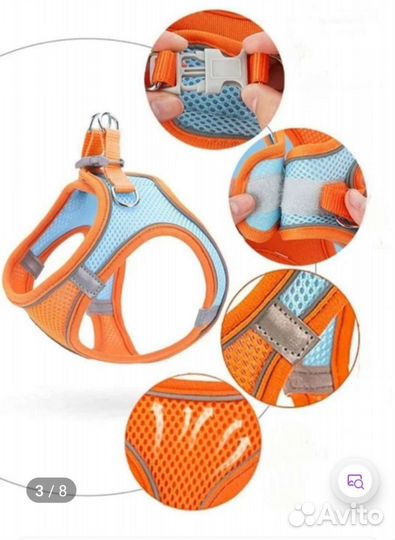 Шлейка для маленькой собаки