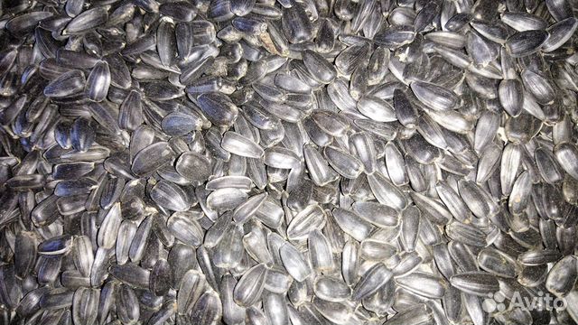 Фракция гранулы. Плавкран типа спк 23/35 с. Белгородские корма. Спк 150 плавкран. Колхоз родина ставропольский край.