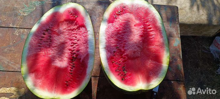 Арбузы