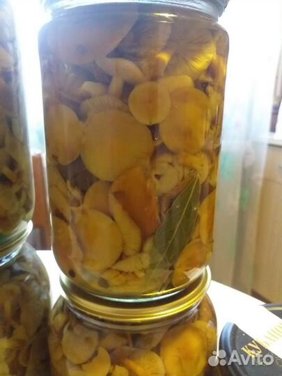 Грибы опята маринованные