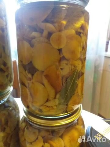 Грибы опята маринованные