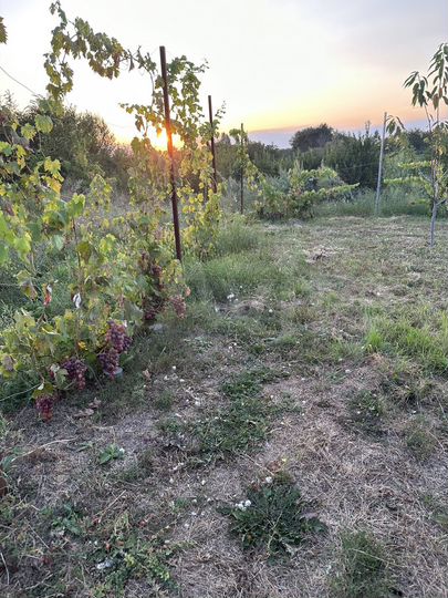 Участок 15 сот. (ИЖС)