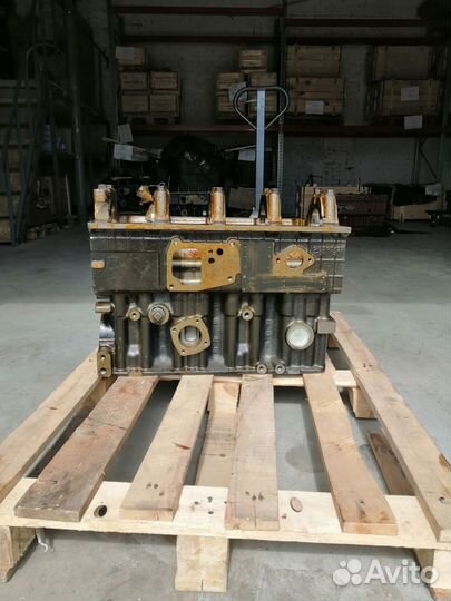 Блок цилиндров 245Е4-1002001-02 ммз паз маз газ