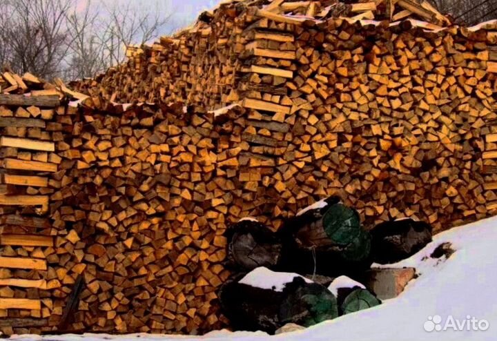 Дрова с Выборга