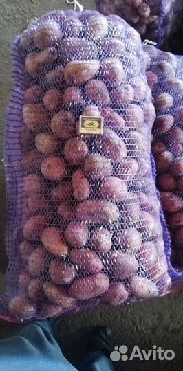 Продам картофель