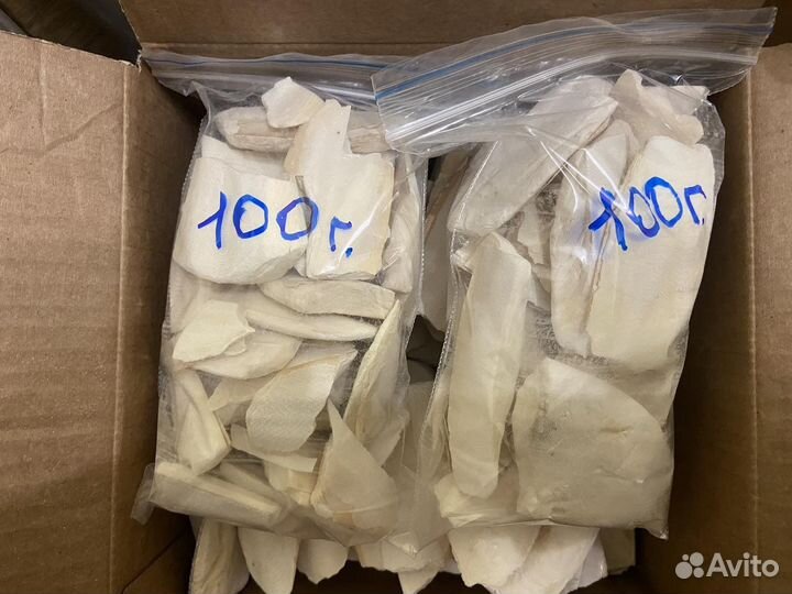 Сепия панцирь каракатицы (не соленая )