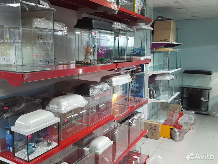 Боция клоун