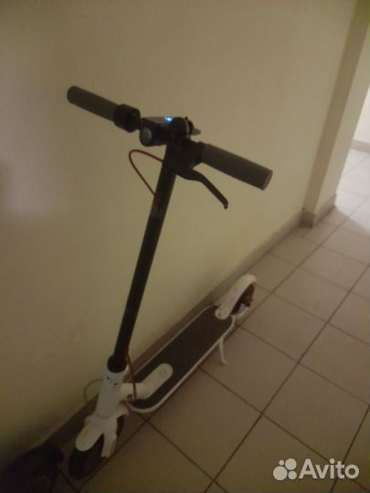 Самокат взрослый бу