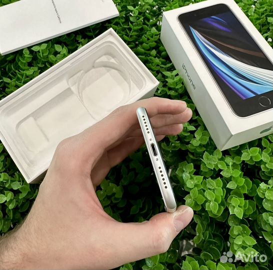 iPhone SE (2020), 64 ГБ