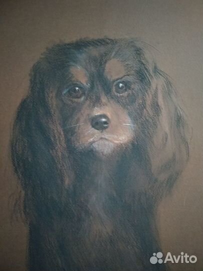 Портрет любимого питомца