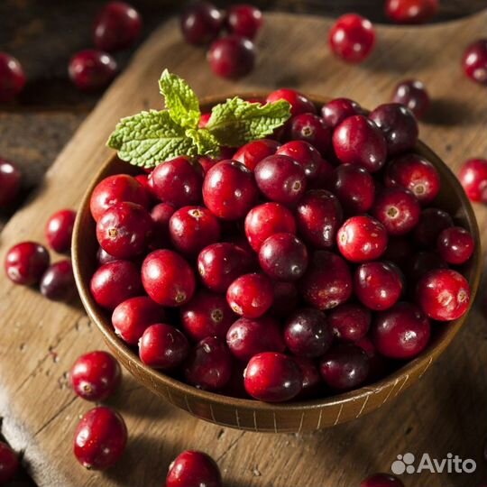 Клюква свежая