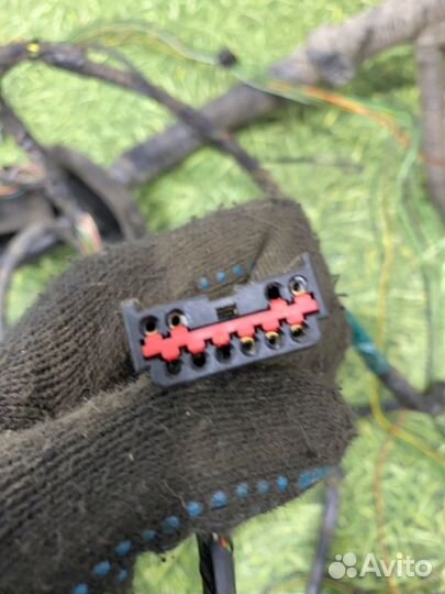 Проводка двс Ford Focus 1 седан 2.0 2002