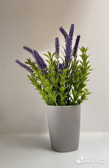 Зелень в горшке