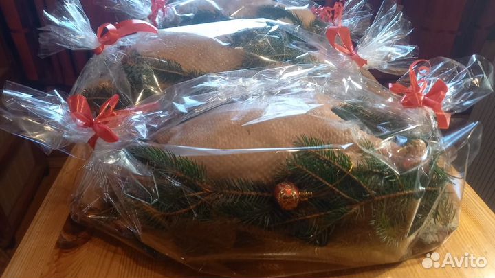 Мясо домашнего гуся