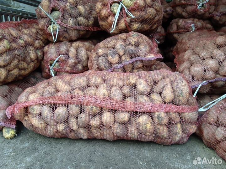 Картофель с доставкой на дом