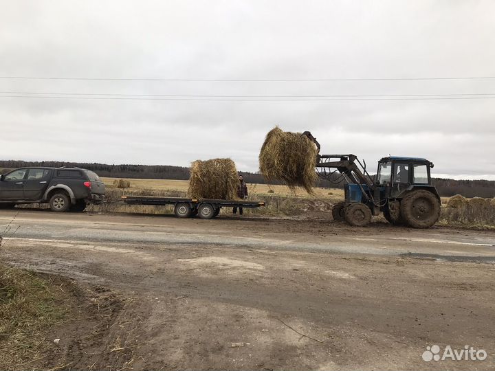 Солома овсяная с зерном в рулонах 500 кг