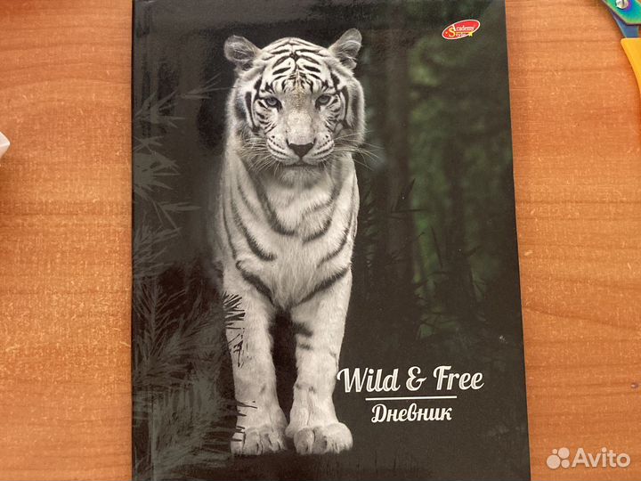 Дневник школьный