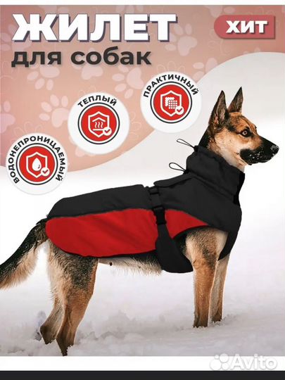 Жилетка для собак