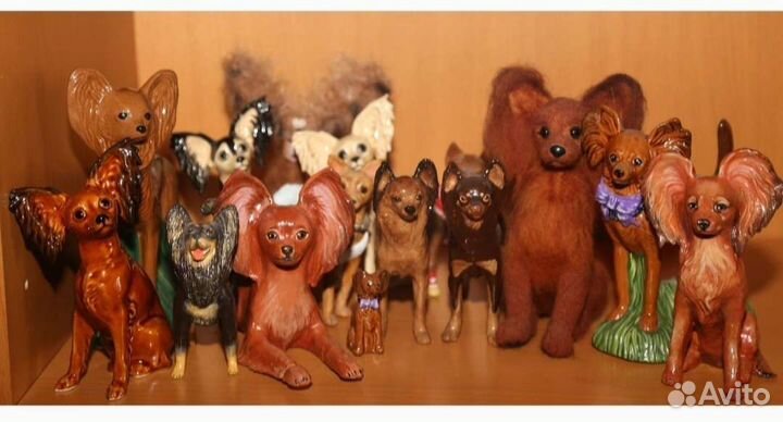 Коллекция той терьеров